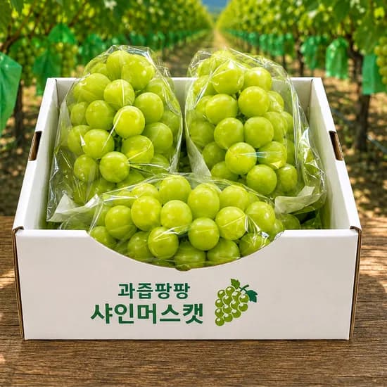 국내산 샤인머스켓, 1kg, 2-3수, 1박스
