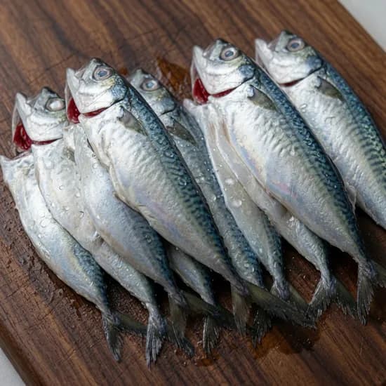 국내산 손질 자반 고등어 특대 2미 1kg 3개 32,800원