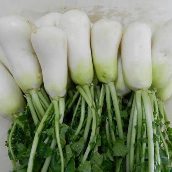 여수 노지 생 알타리 5kg 1박스