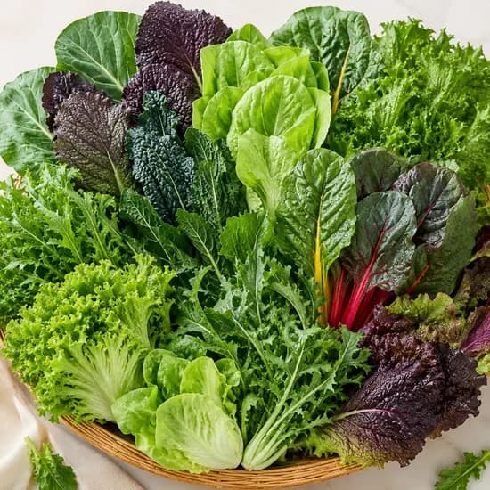 국내산 모듬 쌈채소 샐러드용 1kg 1박스