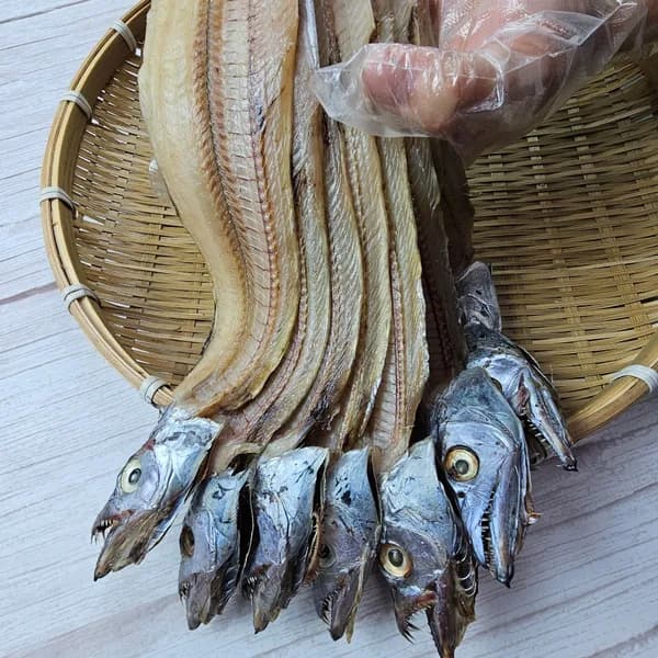남해안 반건조 풀치 50cm 내외 12미 900g 1박스 21,500원
