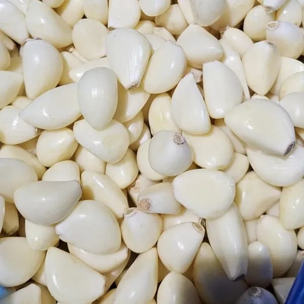 국내산 햇 깐마늘 대 2kg 1팩