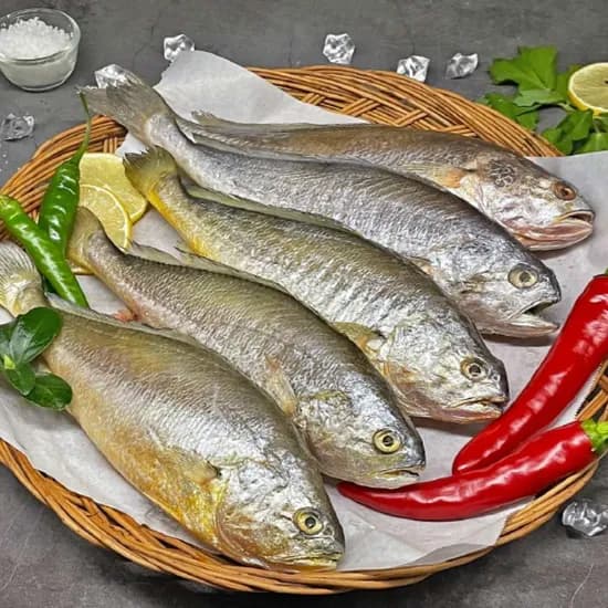 부세조기 대사이즈 제수용 2-3미 1kg 1개