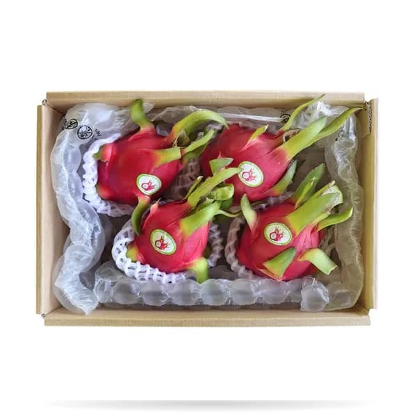 베트남 용과 500g 4개 21,600원