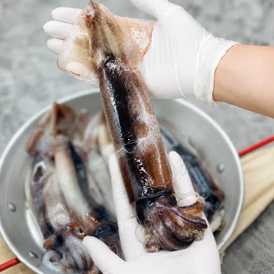 생물 초코오징어 횟감용 4-5미 1kg 1개 18,900원