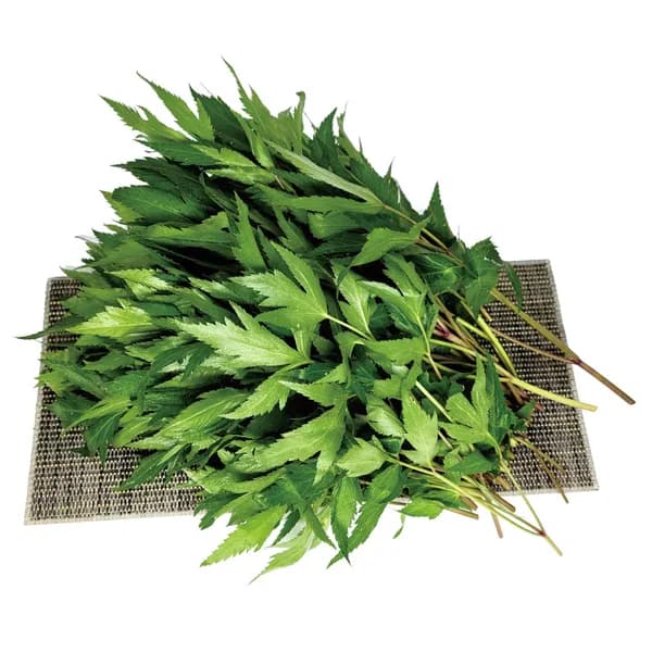 야채왕 당귀 100g 1개