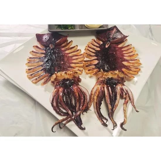 구룡포 반건조 오징어 170g 5미 1박스