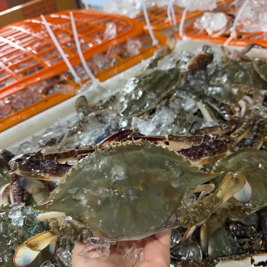 서해안 활 숫꽃게 대짜 2-4미 내외 1kg 1개