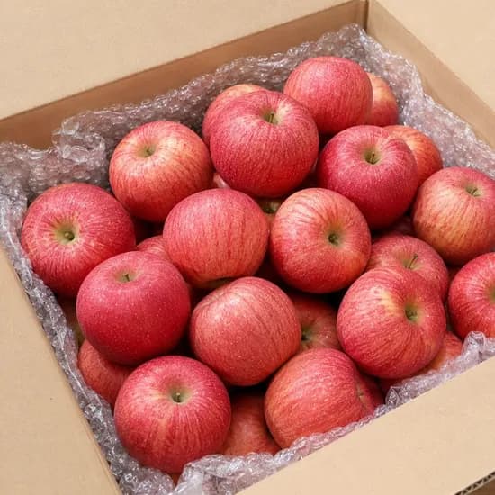 프로프룻 햇 홍로사과 10kg 1박스