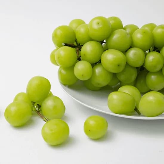 하나의팜 샤인머스켓 4-5수 2kg 1박스