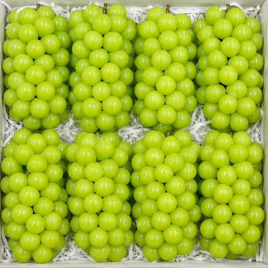 샤인머스켓 2kg 1박스 14,900원