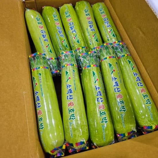국내산 못난이 애호박 5kg 20개