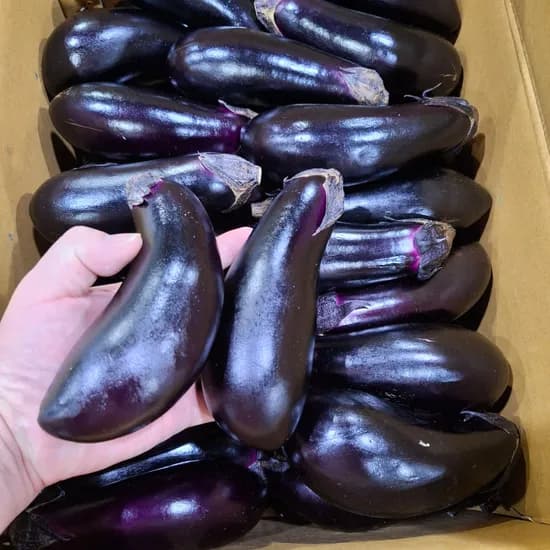 국내산 못난이 가지 5kg 1박스