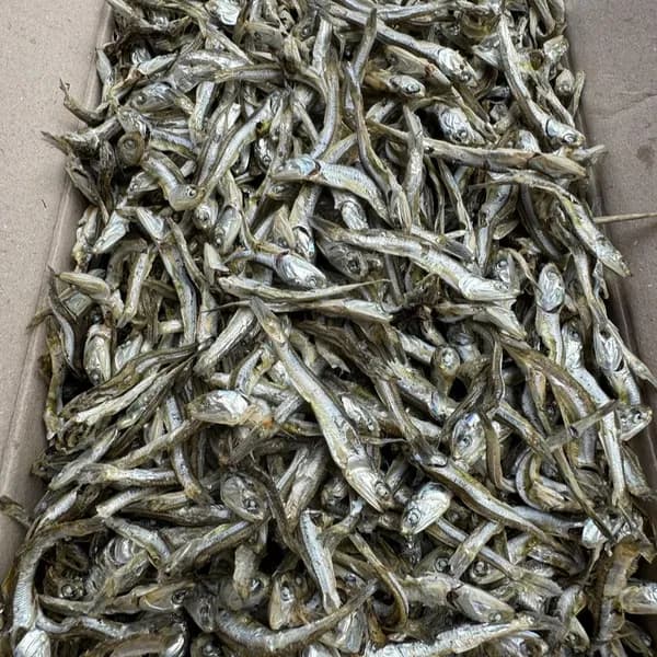 국내산 고바멸치 고추장 국물멸치 200g 1개