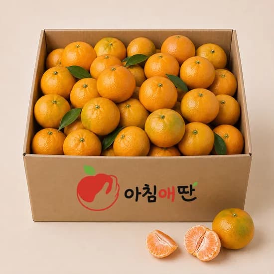 제주 하우스 감귤 특품 중대과 3kg 1박스