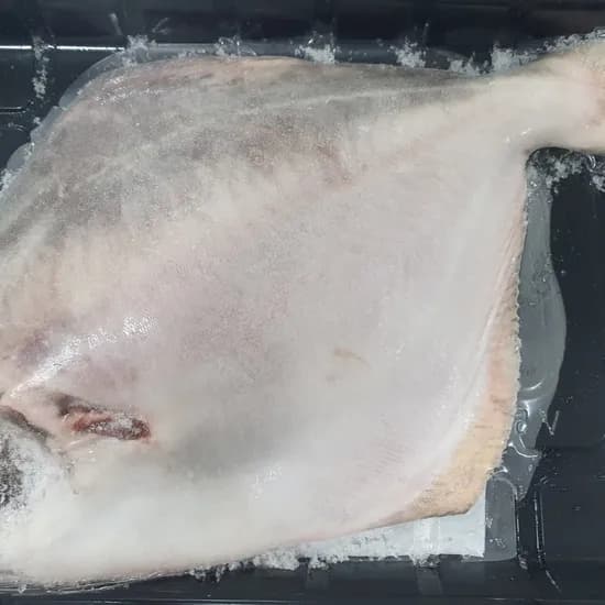 목포 손질 생물 덕자병어 1kg 1마리