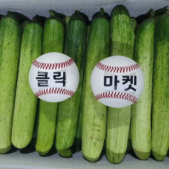 국내산 백오이, 상등급, 2kg, 1개