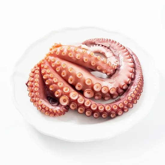 국내산 손질 햇 문어 150g 7개