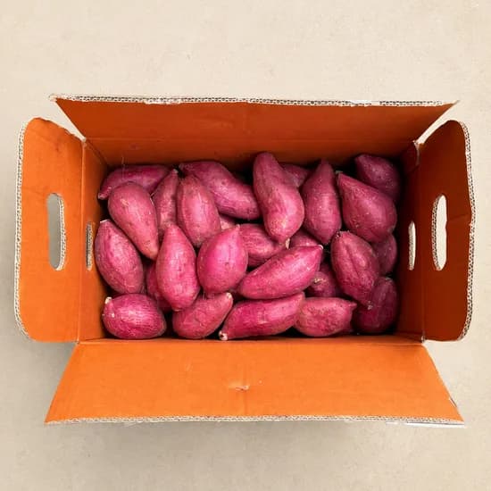 햇 꿀밤고구마 중상 밤맛 3kg 1박스