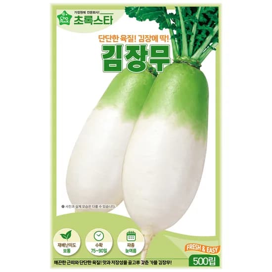 초록스타 김장무 씨앗 500립 1개
