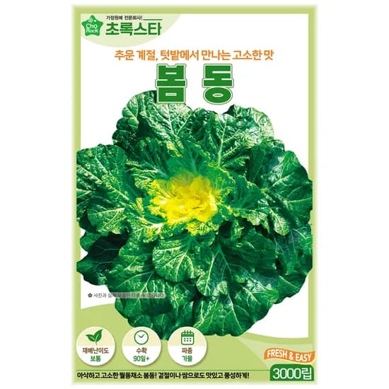 초록스타 봄동 씨앗 3000립 1개