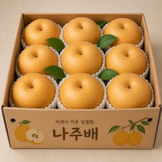 나주배 특품 3kg 6-9과 1박스