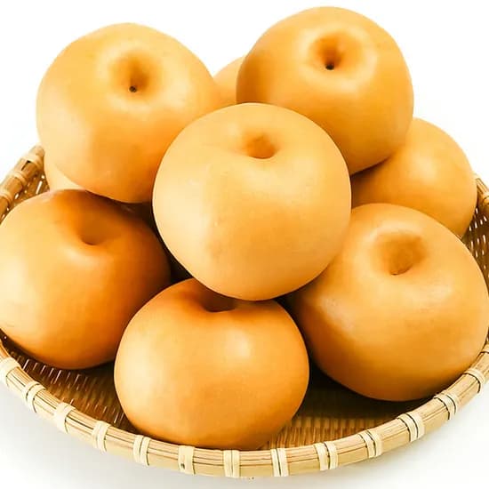 가정용 나주 햇배 5-10입 3kg 1박스