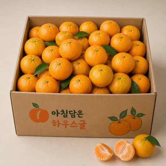 제주 서귀포 하우스감귤, 특품, 5kg, 1박스