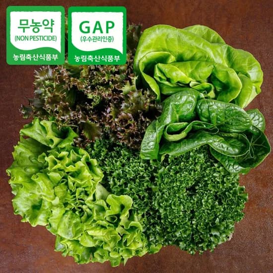 마녀팜 유러피안 샐러드 채소 무농약 1kg 1개