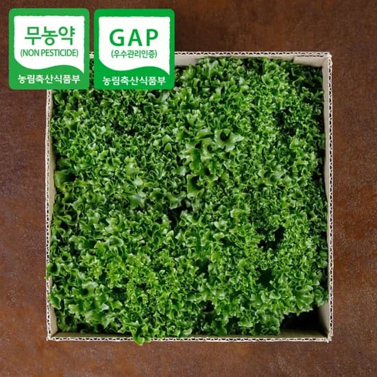 마녀팜 무농약 프릴아이스 1kg 4개 13,800원