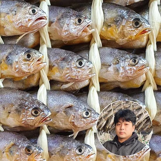 영광법성포굴비 20미 1.4kg 1개