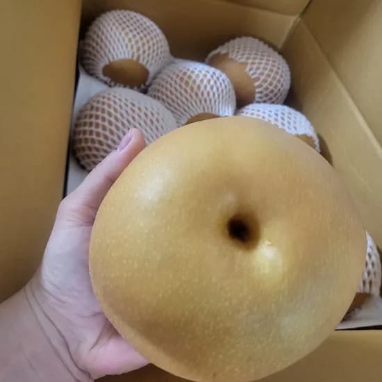 상특급 햇배 20-30과 10kg 1박스