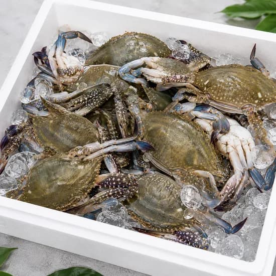 서해안 제철 활 숫꽃게 9-15미 3kg 1팩