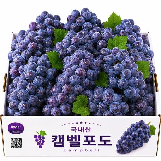 국내산 캠벨포도 1kg 1개