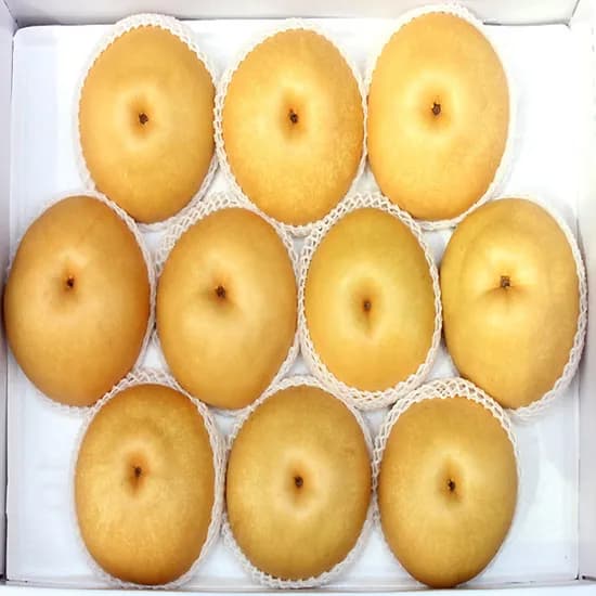 나주 신고배 3kg 1박스