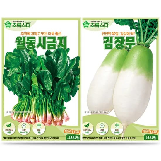 초록스타 월동시금치 씨앗 외 김장무 씨앗