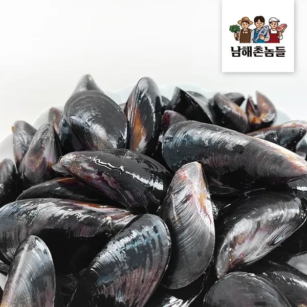 국내산 홍합 손질 세척 5kg