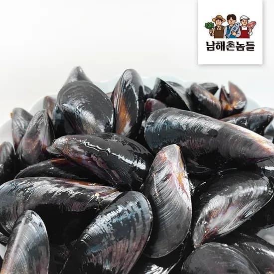 국내산 홍합 손질 세척 10kg 1개