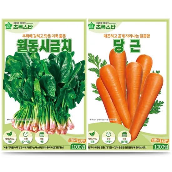 초록스타 월동시금치 씨앗+당근 씨앗, 1개