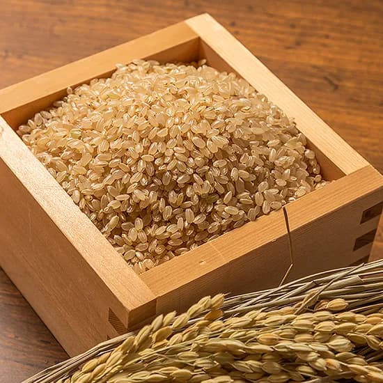 국내산 찹쌀현미 500g 4개
