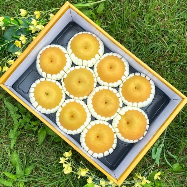 하동 산지직송 국내산 햇배 가정용 랜덤과 3kg 1박스
