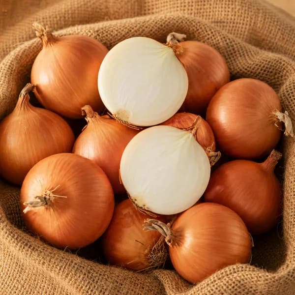 단단한 무안양파 햇양파 중대 10kg 1박스
