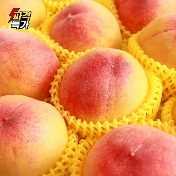 황도 말랑이 털복숭아 중과 4kg 21개