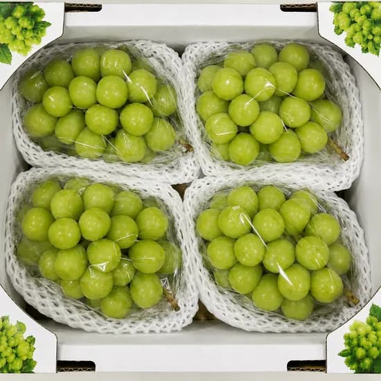 고당도 샤인머스켓 1kg 1박스