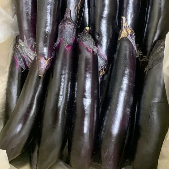 국내산 A급 특품 가지 1kg 4-8개입 1개