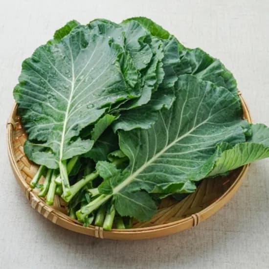 국내산 하우스재배 케일 쌈용 샐러드 2kg 1팩