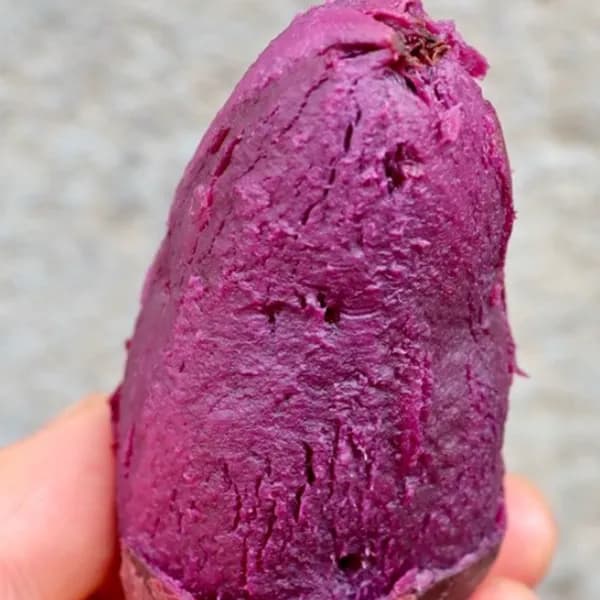 해남 자색고구마 보라빛 특상 3kg 1박스