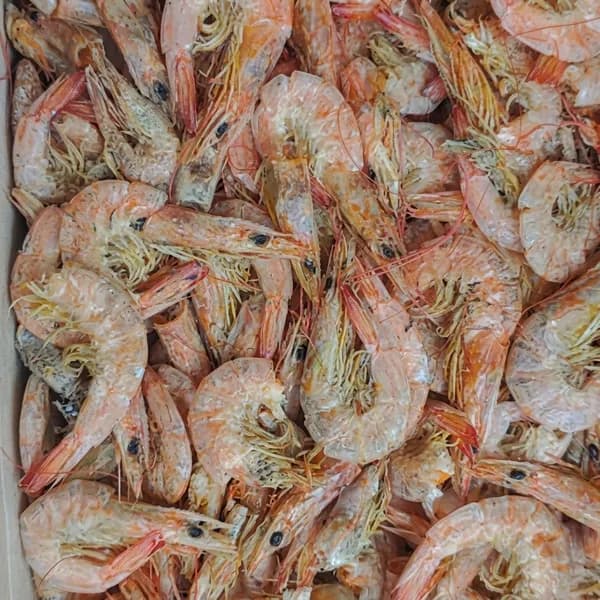 강일건어물 국내산 건새우 국물새우 육수용 150g
