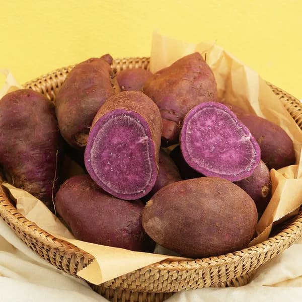 해남 자색고구마 특상급 3kg 1개 15,500원