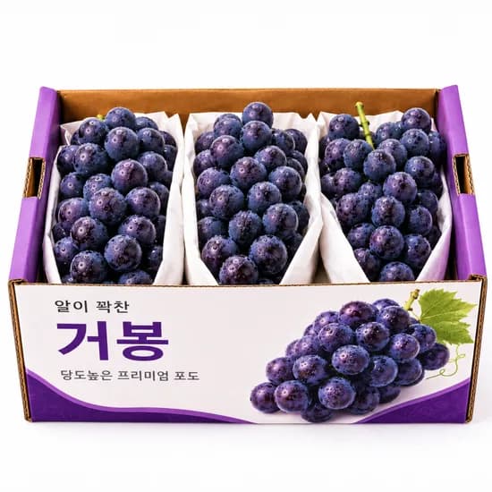 한강결 씨없는 거봉 포도 2kg 1박스